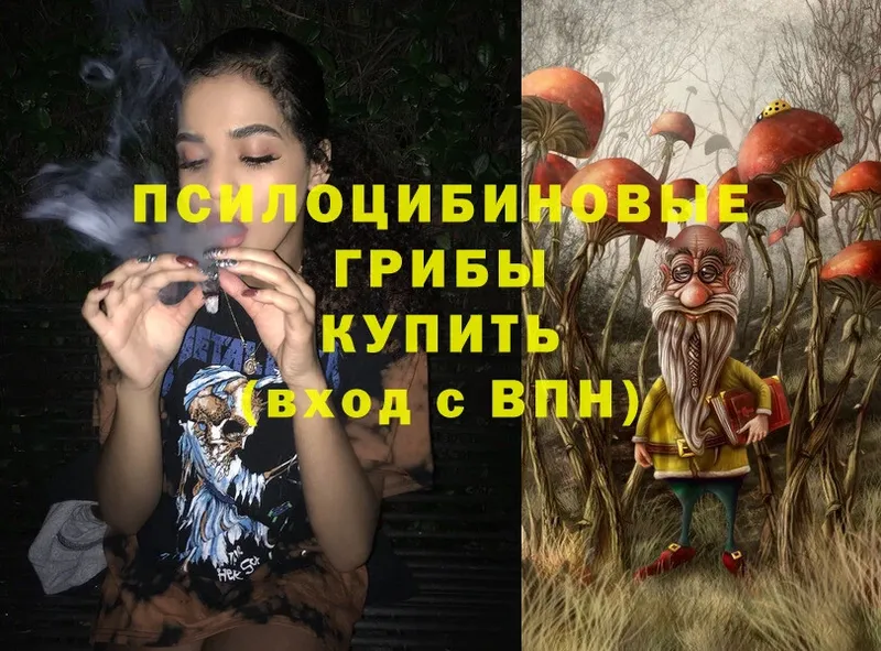 Галлюциногенные грибы MAGIC MUSHROOMS Дагестанские Огни